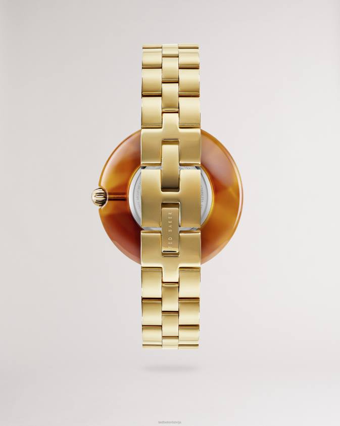 Piederumi Ted Baker nimue retro bruņurupuču apvalka rokassprādzes pulkstenis zelta krāsa sievietes 26TV1123