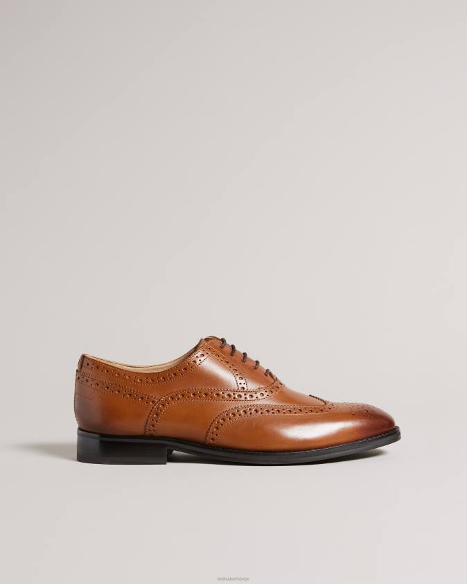 kurpes Ted Baker amaiss formālas ādas brogue kurpes iedegums vīriešiem 26TV1844
