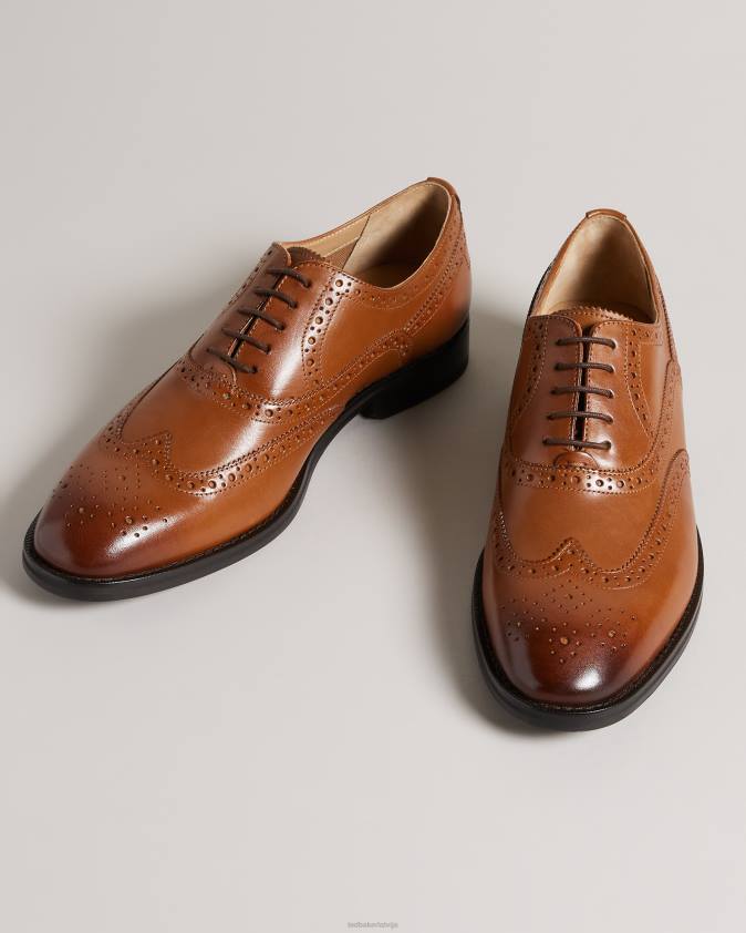 kurpes Ted Baker amaiss formālas ādas brogue kurpes iedegums vīriešiem 26TV1844