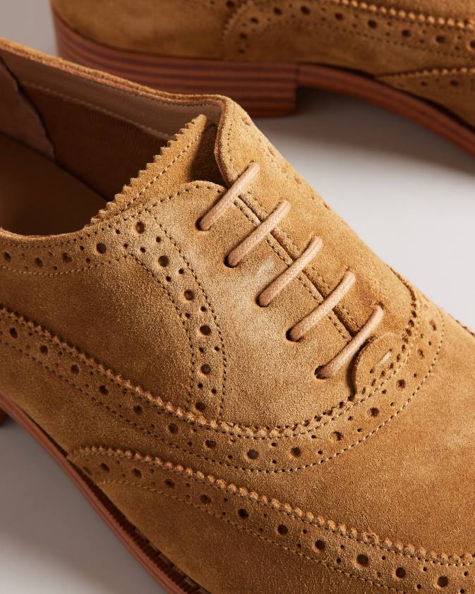 kurpes Ted Baker ammais formālas zamšādas brogue kurpes iedegums vīriešiem 26TV1849