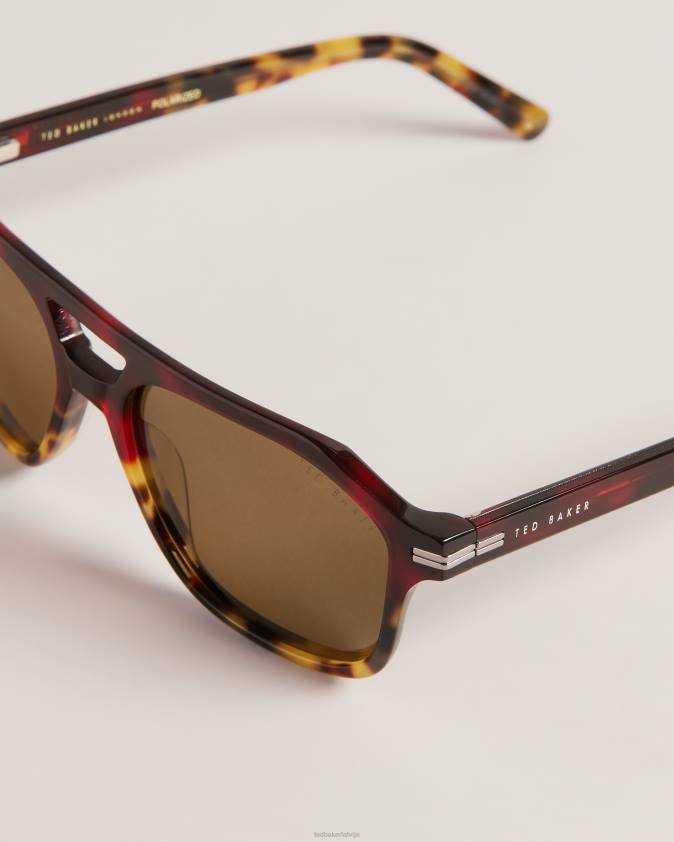 Piederumi Ted Baker tortavi chunky aviator saulesbrilles bruņurupuča apvalks vīriešiem 26TV2046